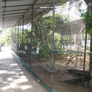 Toucan aviary