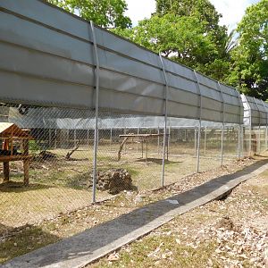 Enclosure for black-handed spider monkeys