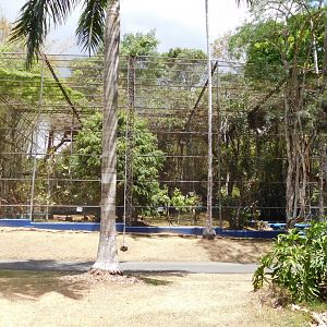 Macaw aviary