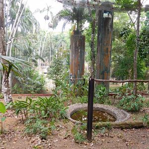 Harpy eagle aviary (lower viewing platform)