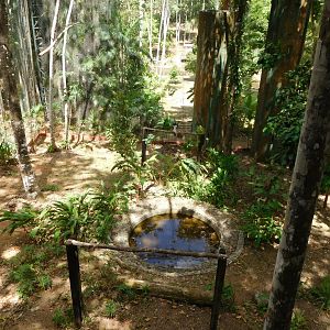 Harpy eagle aviary (upper viewing platform)