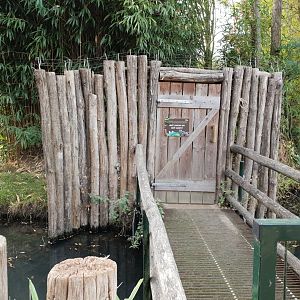Entrance Lemur walk-through island