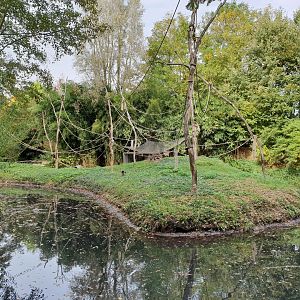 Another part of the Spider and Squirrel monkey island