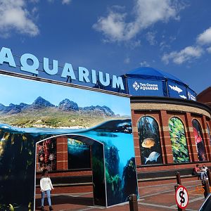Two Oceans Aquarium 15.4.19