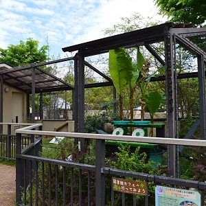 Fennec Fox Enclosure