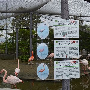 Flamingo Signage