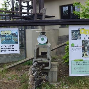 Meerkat Signage and Scales