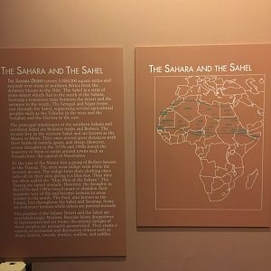 Sahara & The Sahel Label