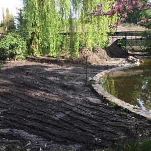 The Greater flamingos old enclosure, under construction.
