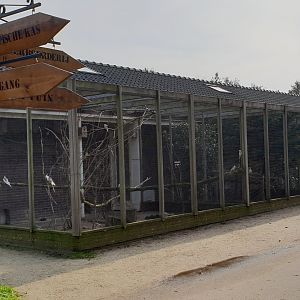 Aviaries