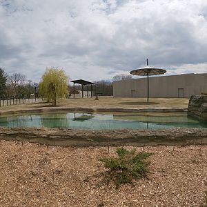 May. 2019 - New! Adventure Africa - Elephant Exhibit
