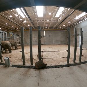 May. 2019 - New! Adventure Africa - Indoor Elephant Exhibit
