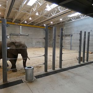 May. 2019 - New! Adventure Africa - Indoor Elephant Exhibit (20,000 sq ft)