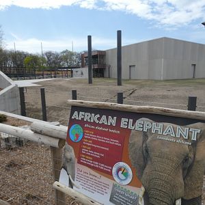 May. 2019 - New! Adventure Africa - Elephant Exhibit