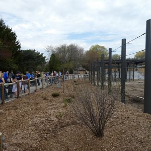 May. 2019 - New! Adventure Africa - Elephant Presentation Exhibit Viewing