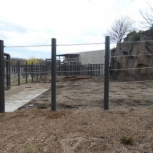 May. 2019 - New! Adventure Africa - Elephant Presentation Exhibit (Former Brown Bear Exhibit)