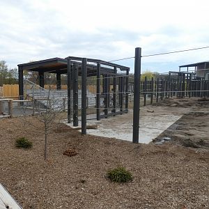 May. 2019 - New! Adventure Africa - Elephant Presentation Exhibit