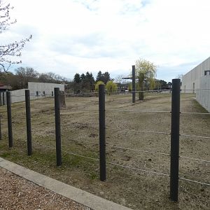 May. 2019 - New! Adventure Africa - Elephant Exhibit