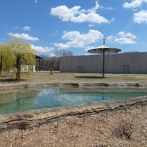 May. 2019 - New! Adventure Africa - Elephant Exhibit