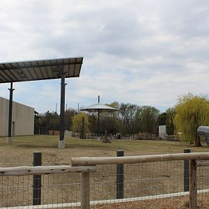 Adventure Africa - African Elephant Yard