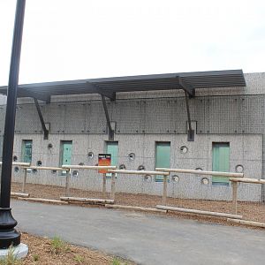 Adventure Africa - African Elephant Feeder Wall