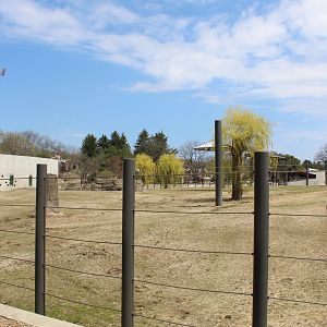Adventure Africa - African Elephant Yard