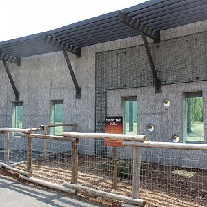 Adventure Africa - African Elephant Feeding Wall