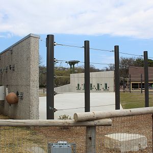 Adventure Africa - African Elephant Yard