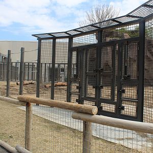 Adventure Africa - African Elephant Demonstration Yard