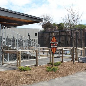 Adventure Africa - African Elephant Demonstration Yard