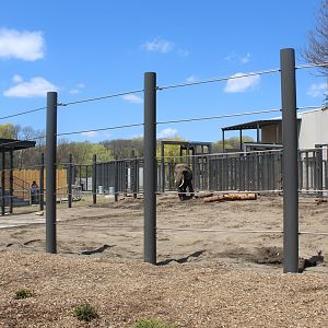 Adventure Africa - African Elephant Demonstration Yard
