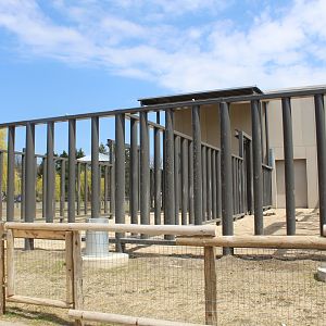 Adventure Africa - African Elephant Side Yard(s)