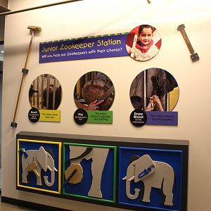 Adventure Africa - Elephant Care Center "Junior Zookeeper Station"
