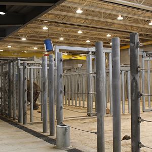 Adventure Africa - Elephant Care Center