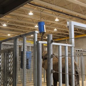 Adventure Africa - Elephant Care Center