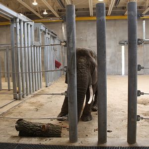 Adventure Africa - Elephant Care Center