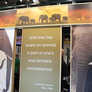 Adventure Africa - Elephant Care Center