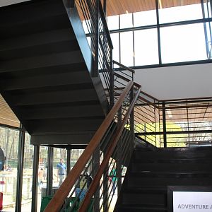 Adventure Africa - Elephant Care Center (Stairs to Second Level)