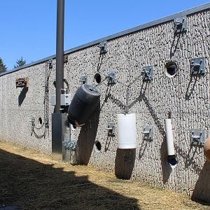 Adventure Africa - Elephant Enrichment Wall