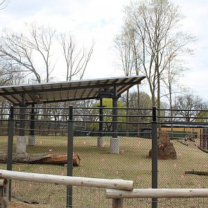 Adventure Africa - Impala Plains (Impala, Plains Zebra, West African Crowned Crane)