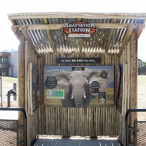 Adventure Africa - Adaptation Station (Elephant)