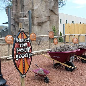 Adventure Africa - Educational Display