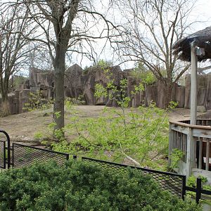 Adventure Africa - Former Bongo & Yellow-backed Duiker Exhibit