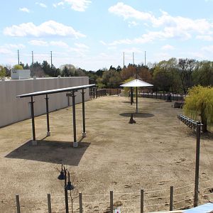 Adventure Africa - African Elephant Exhibit Overview