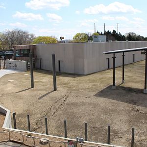 Adventure Africa - African Elephant Exhibit Overview