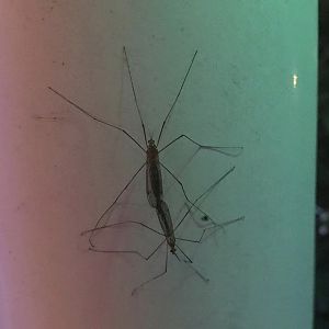 Can somebody identity