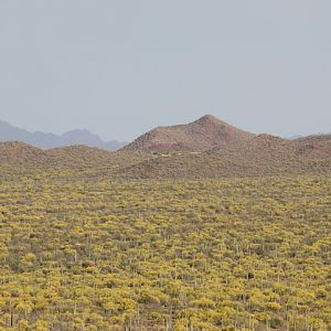 Museum viewed from distance