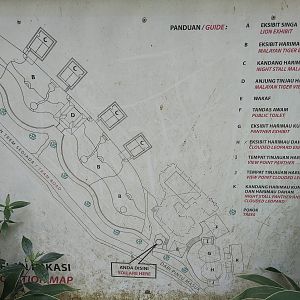 Big Cat Complex map
