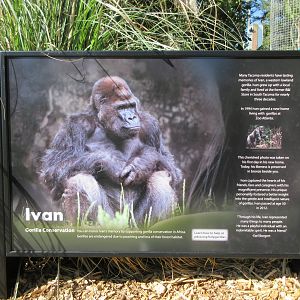 Ivan the Gorilla - Sign