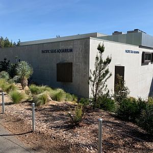 $51 Million Pacific Seas Aquarium (New in 2018)
